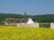 Exclusives traumhaftes Landhaus in Ungarn
